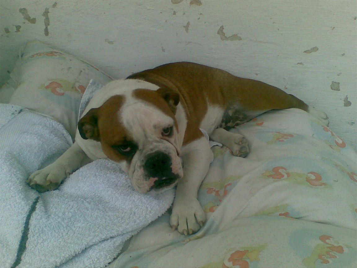 20072009(001).jpg