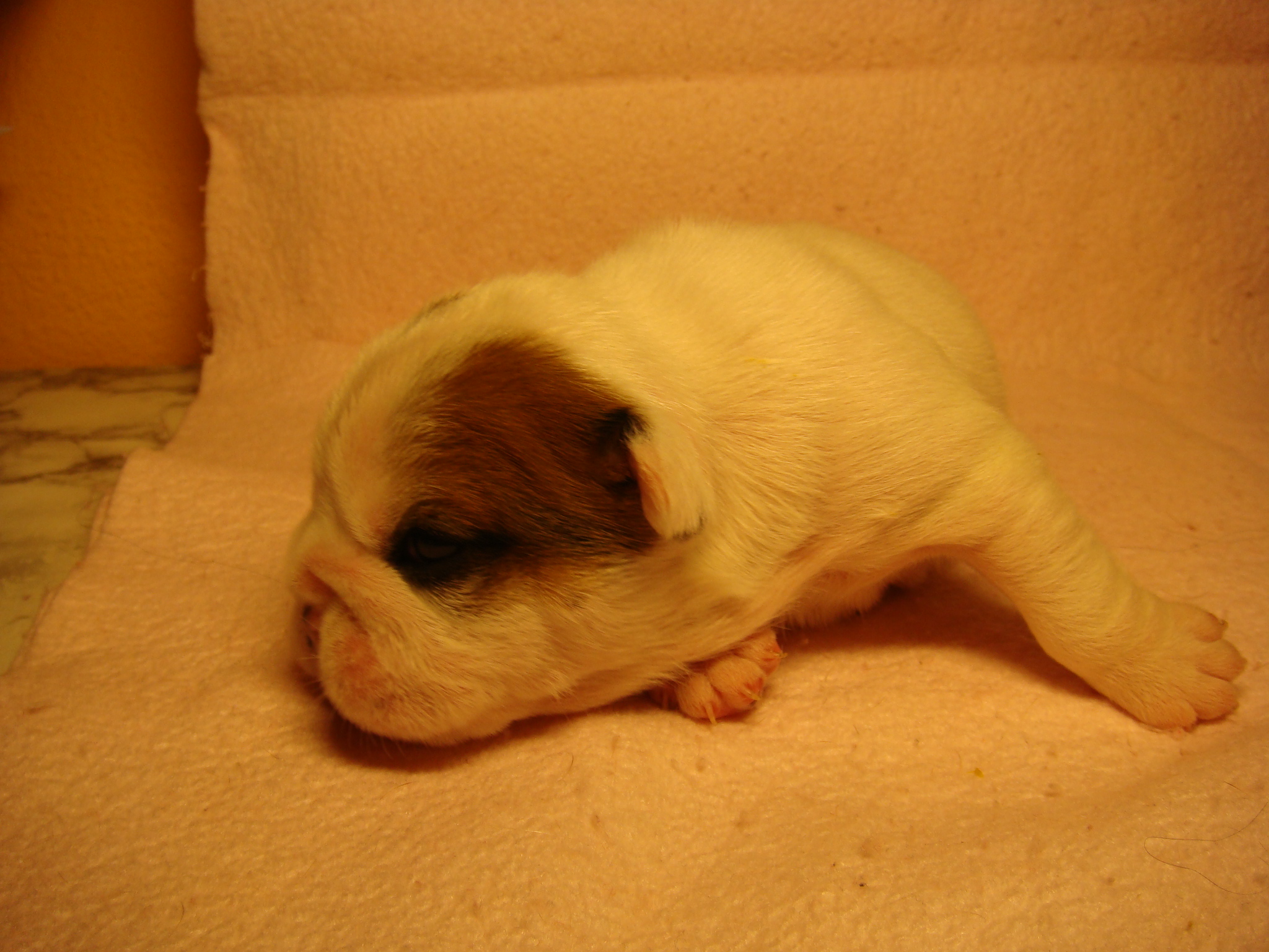 DSC04862.JPG