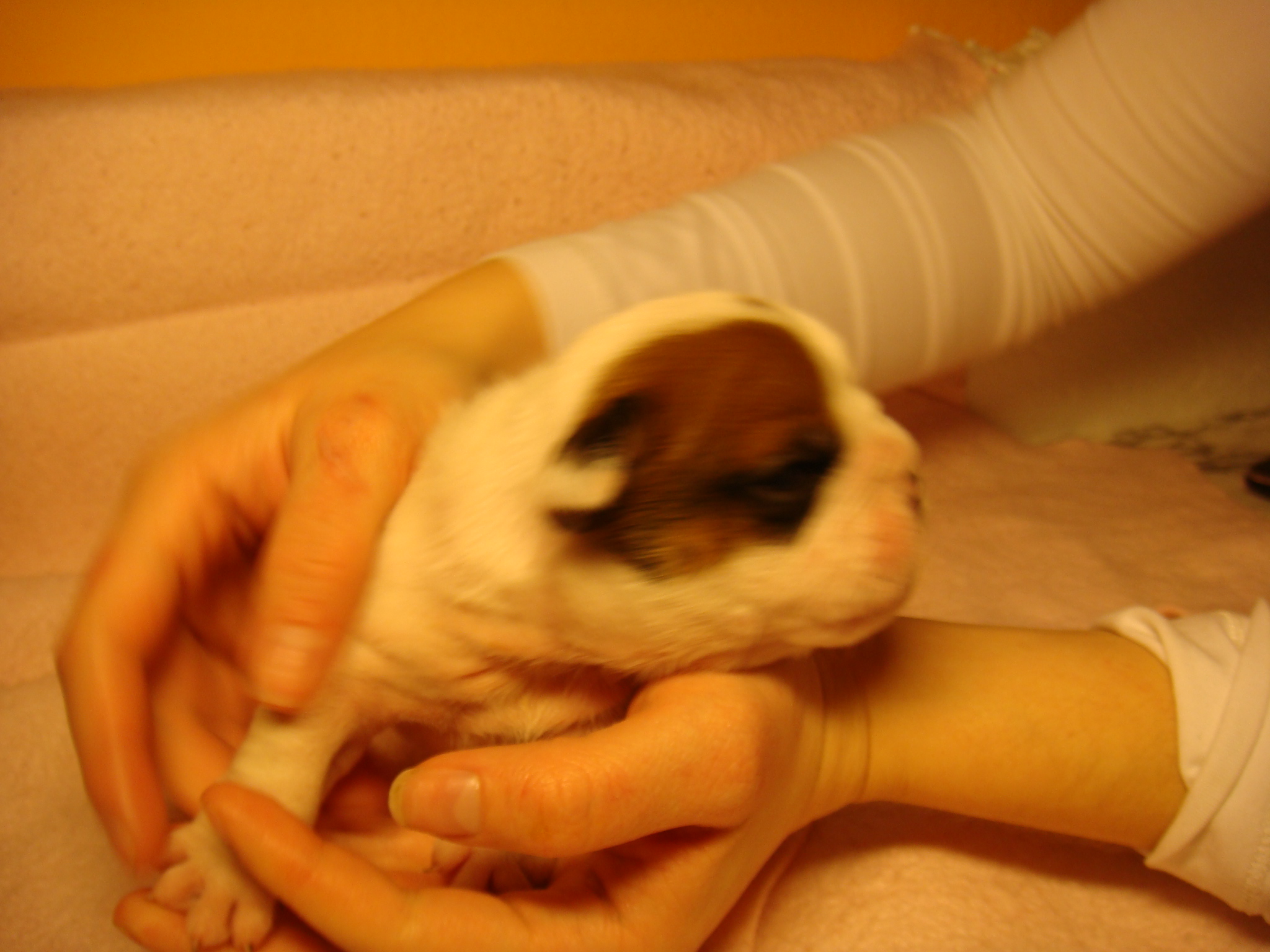 DSC04884.JPG