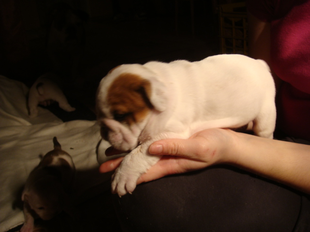 DSC05003.JPG