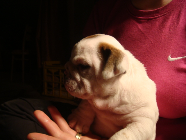 DSC05034.JPG