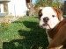 DSC03406.JPG