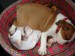 DSC03417.JPG