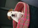 DSC03463.JPG