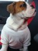 DSC03524.JPG